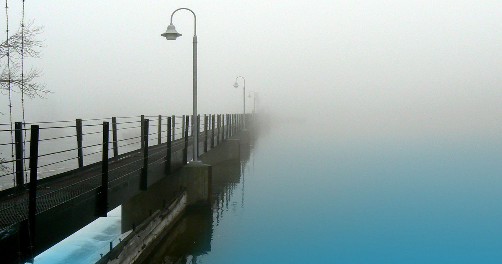 G-net Digital Solution