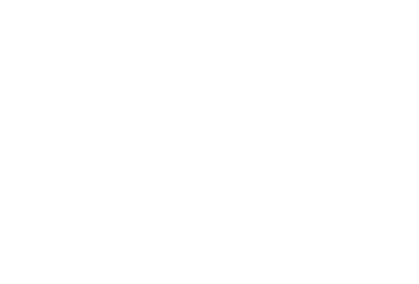 G-net Digital Solution