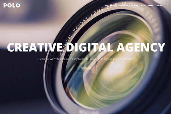 Polo One Page (version 3)