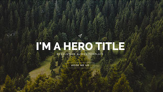 Polo Revolution Slider